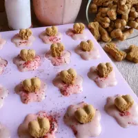 Paw-shaped frozen yoghurt treats topped with dog biscuits